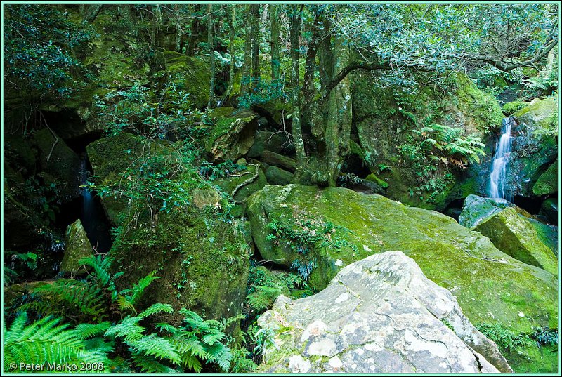 WV8X8872.jpg - Stream near Katoomba, Blue Mountains, Australia.