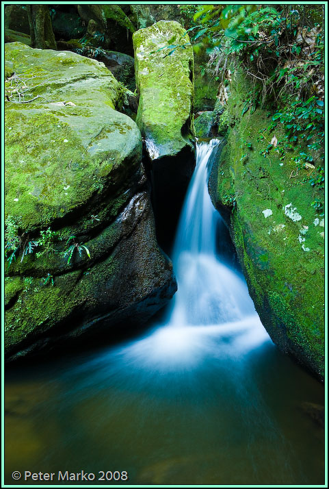 WV8X8893.jpg - Waterfall and moss, Blue Mountains, Australia.