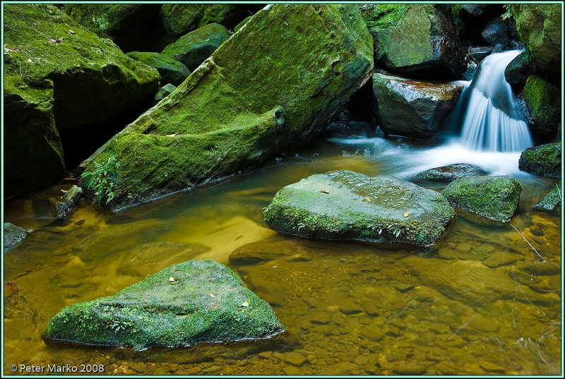 WV8X8915.jpg - Stream and moss, Blue Mountains, Australia.