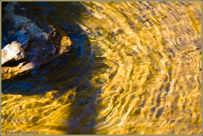 WV8X8702.jpg - Stream, Blue Mountains, Australia