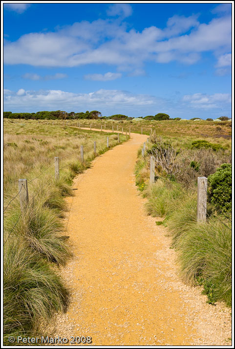 WV8X9389.jpg - Access to the Grotto, Great Ocean Road, Australia.