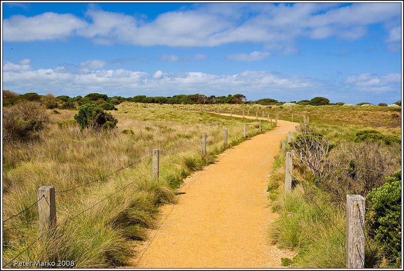 WV8X9390.jpg - Access to the Grotto, Great Ocean Road, Australia.