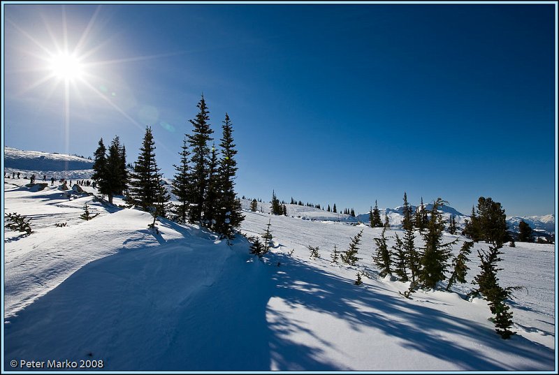 WV8X3905.jpg - Fresh powder, Whistler, Canada.