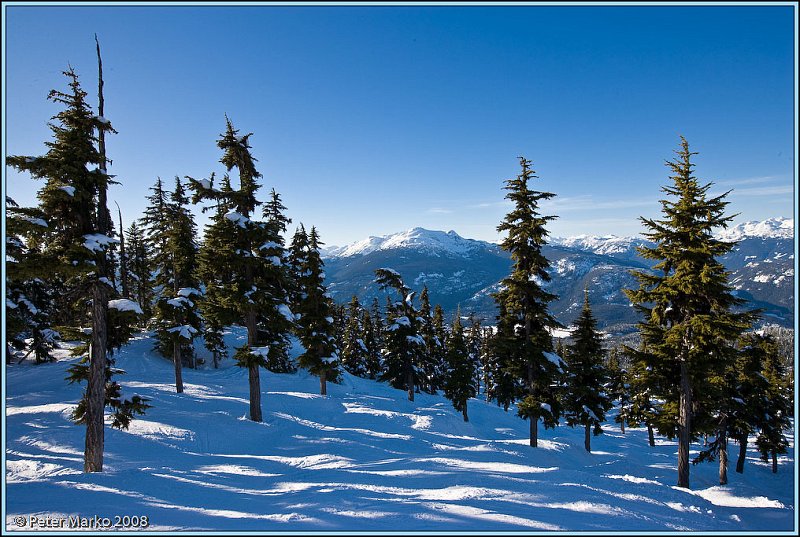 WV8X4002.jpg - View from Blackomb Mtn, Whistler, Canada.