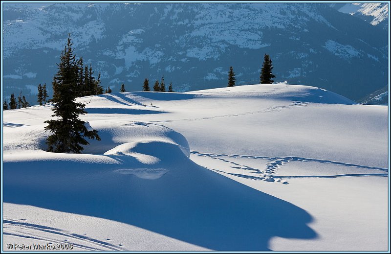 WV8X4157.jpg - Views from "Peak to Creek" run, Whistler, Canada