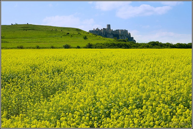 WV8X0719.jpg - Spisky Castle, Slovakia 2006