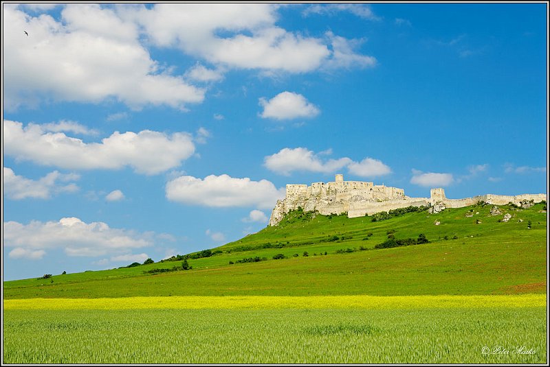 WV8X0722.jpg - Spisky Castle, Slovakia 2006