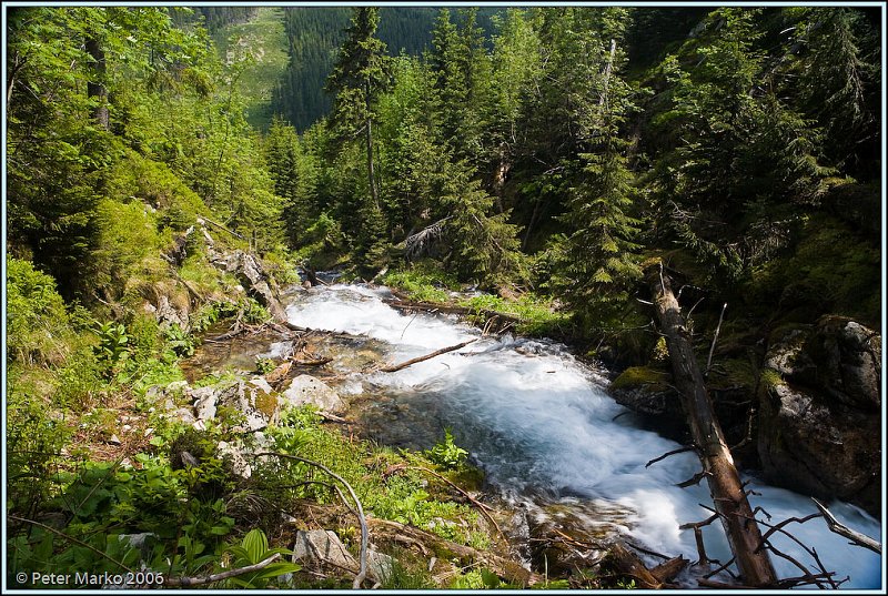 WV8X0288.jpg - Stream, Rohace, Slovakia, Europe