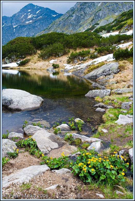 WV8X0403.jpg - Rohacske Pleso, Rohace, Slovakia, Europe