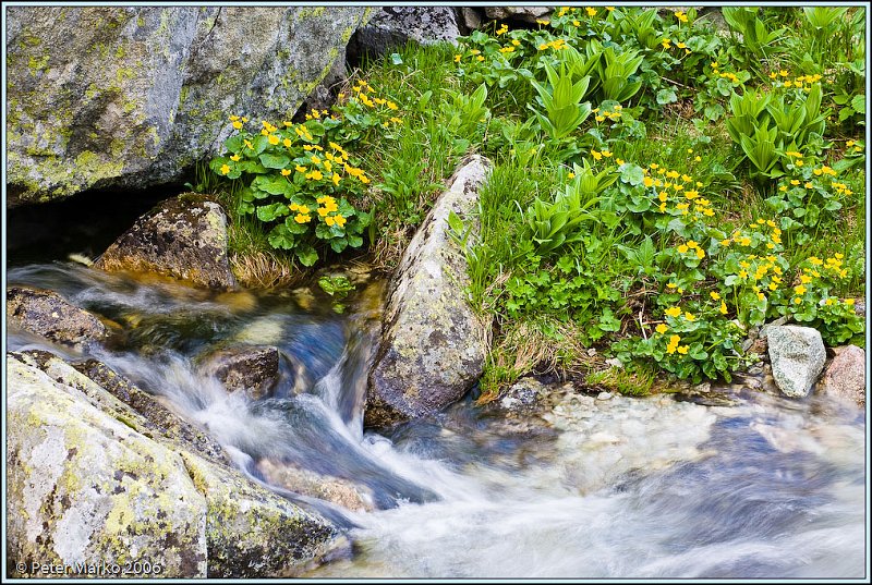 WV8X0972.jpg - Stream, Waterfall Skok, Strbske Pleso, High Tatras, Slovakia, Europe