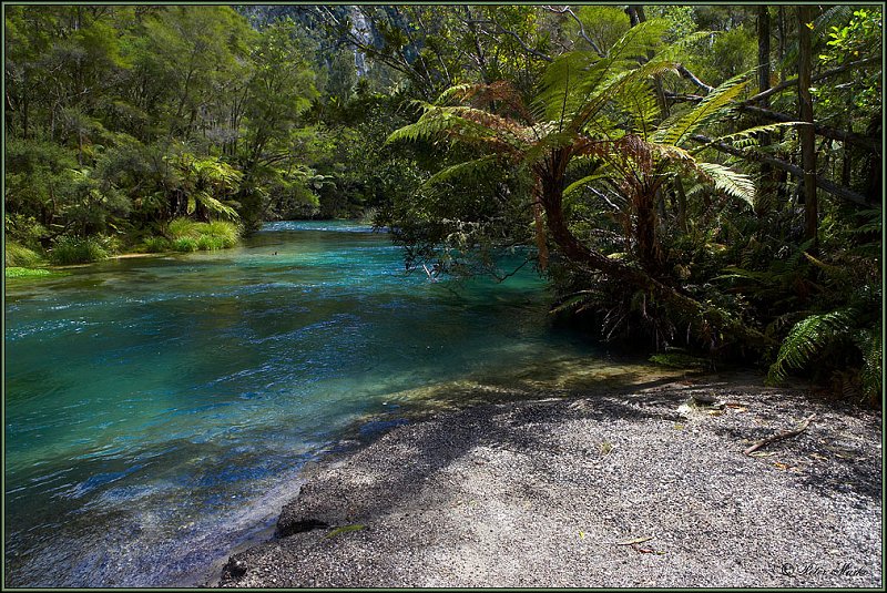 WV8X1354.jpg - Tawera Falls, New Zealand