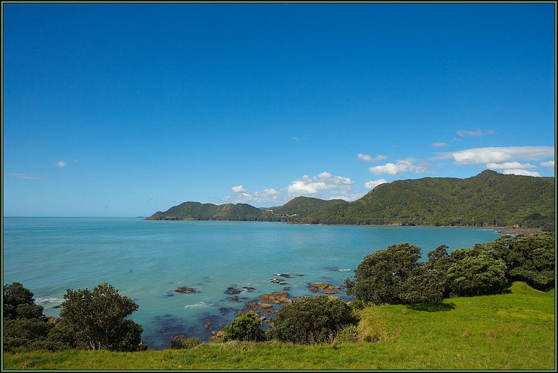 WV8X1390.jpg - East Coast, New Zealand