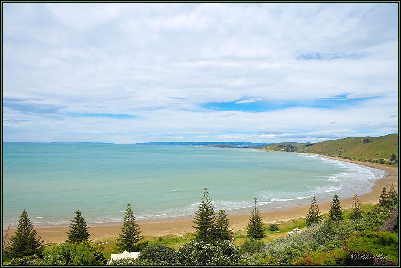 WV8X1539.jpg - East Coast, New Zealand