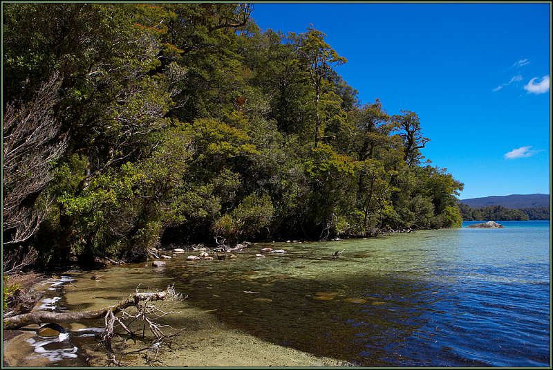 WV8X1605.jpg - Lake Waikereiti, Te Urewera National Park, New Zealand