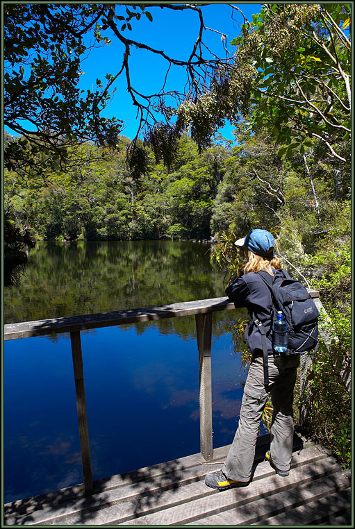 WV8X1620.jpg - Lake Waikereiti, Te Urewera National Park, New Zealand