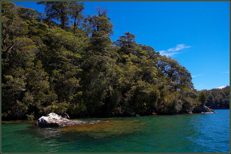 WV8X1664.jpg - Lake Waikereiti, Te Urewera National Park, New Zealand