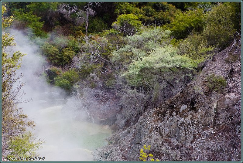 WV8X8367.jpg - Wai-O-Tapu, Rotorua, New Zealand