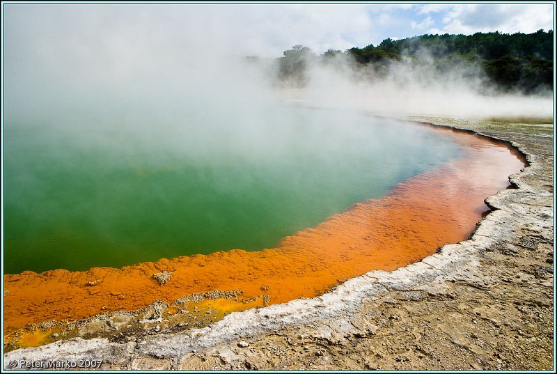 WV8X8378.jpg - Wai-O-Tapu, Rotorua, New Zealand