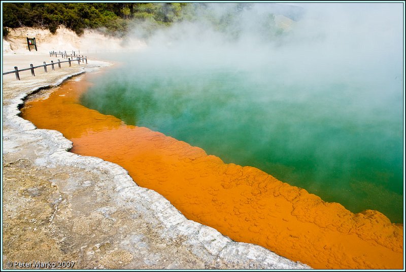 WV8X8381.jpg - Wai-O-Tapu, Rotorua, New Zealand