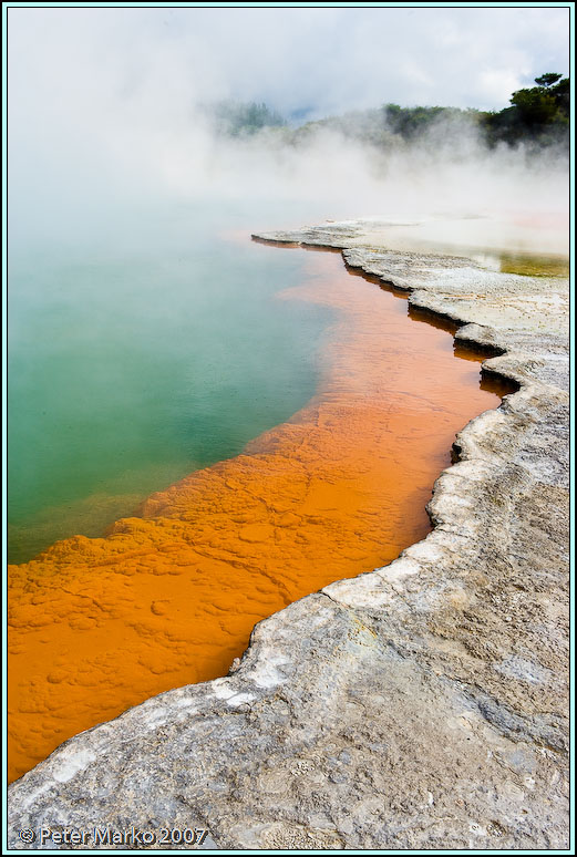 WV8X8382.jpg - Wai-O-Tapu, Rotorua, New Zealand