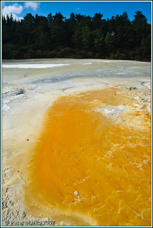 WV8X8419.jpg - Wai-O-Tapu, Rotorua, New Zealand