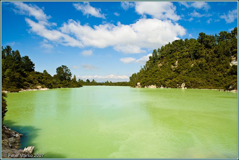 WV8X8451.jpg - Wai-O-Tapu, Rotorua, New Zealand