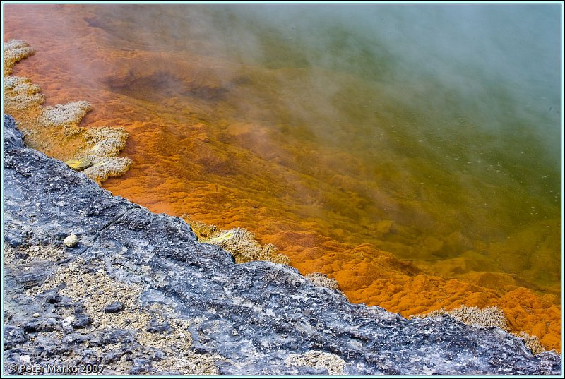 WV8X8532.jpg - Wai-O-Tapu, Rotorua, New Zealand