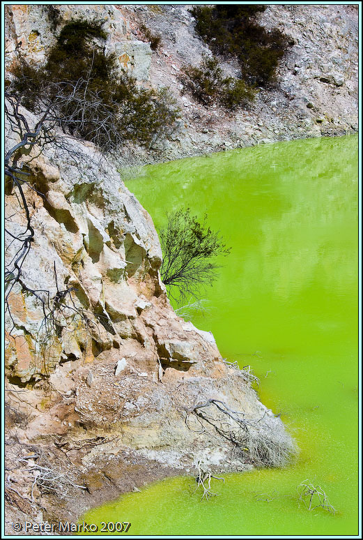 WV8X8549.jpg - Wai-O-Tapu, Rotorua, New Zealand