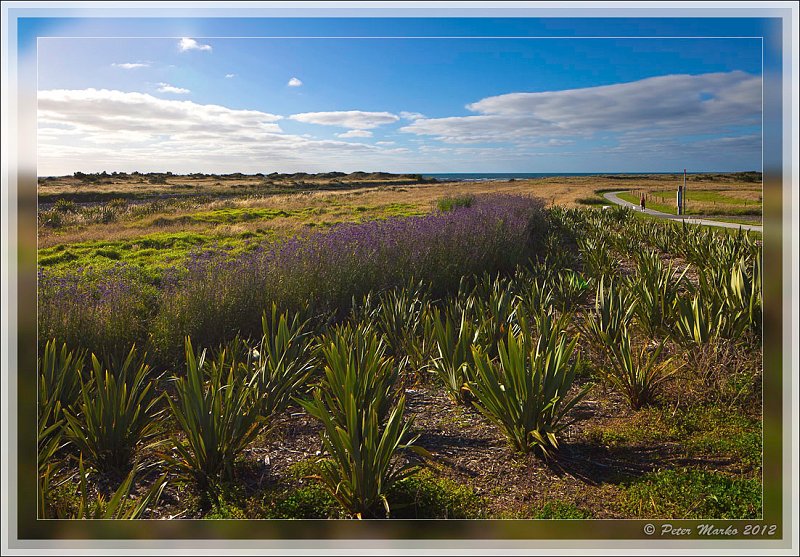 IMG_9622_HDR_frame.jpg - Landscape near Te Rewa Rewa Bridge,  New Plymouth, New Zealand.