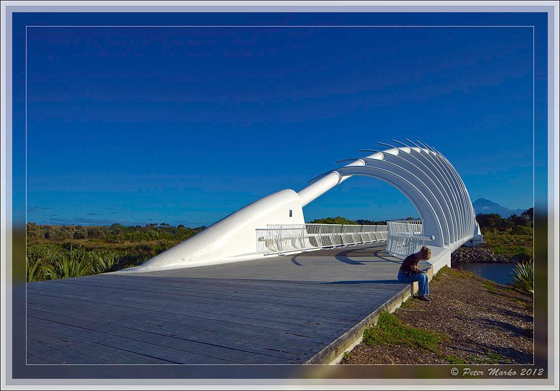 IMG_9629_HDR_frame.jpg - Reading... Te Rewa Rewa Bridge over Waiwhakaio River. New Plymouth, New Zealand.