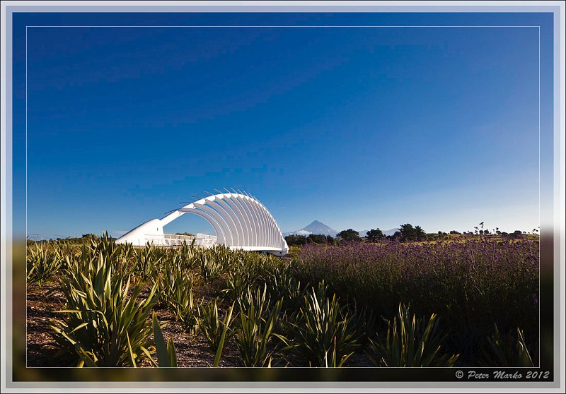 IMG_9674_frame.jpg - Te Rewa Rewa Bridge over Waiwhakaio River. New Plymouth, New Zealand.