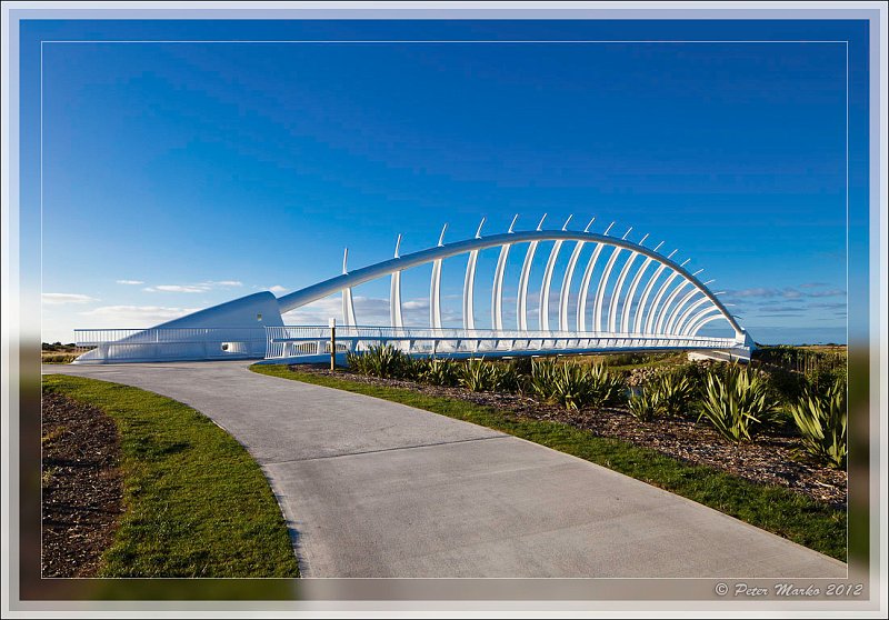 IMG_9683_frame.jpg - Te Rewa Rewa Bridge over Waiwhakaio River. New Plymouth, New Zealand.