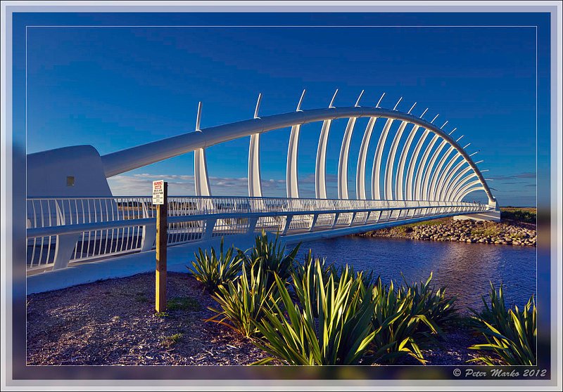 IMG_9704_HDR_frame.jpg - Te Rewa Rewa Bridge over Waiwhakaio River. New Plymouth, New Zealand.