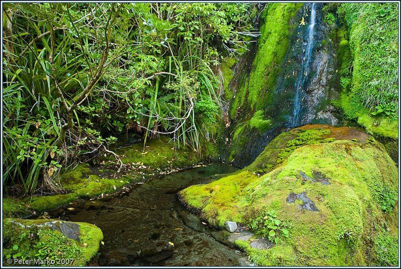 WV8X8334.jpg - Small waterfall. Wilkie Pools, Egmont National Park, Taranaki, New Zealand