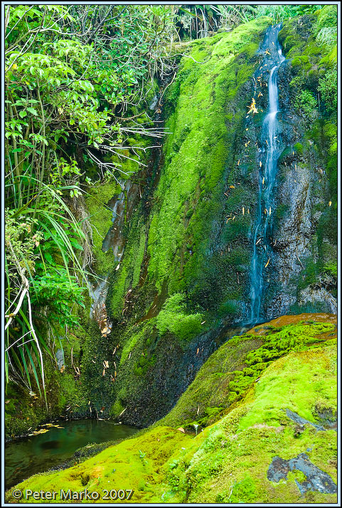 WV8X8342.jpg - Small waterfall. Wilkie Pools, Egmont National Park, Taranaki, New Zealand