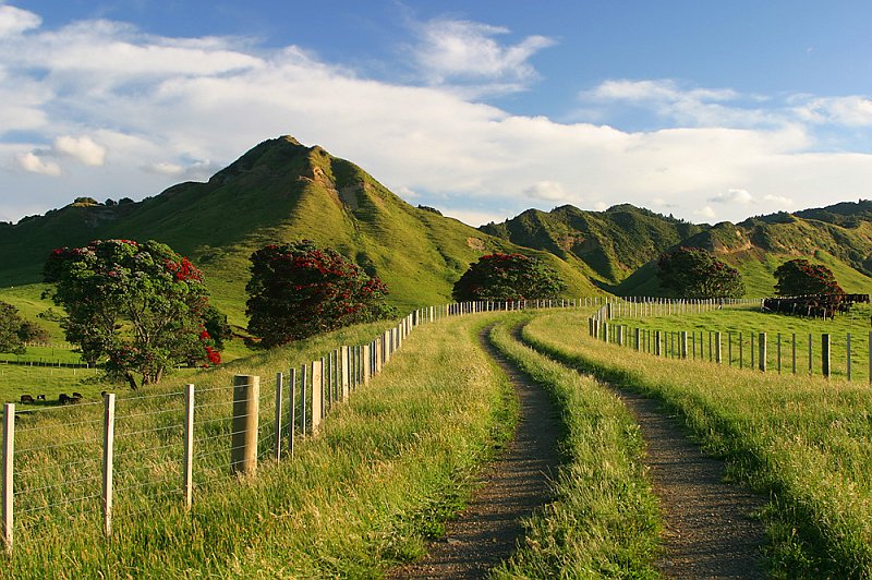 167_6795.jpg - Farm, Tongoporutu Cliffs, Taranaki, New Zealand