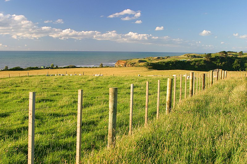 167_6798.jpg - Farm, Tongoporutu Cliffs, Taranaki, New Zealand