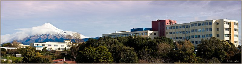 TBH-mail.jpg - Taranaki Base Hospital, New Plymouth, New Zealand 