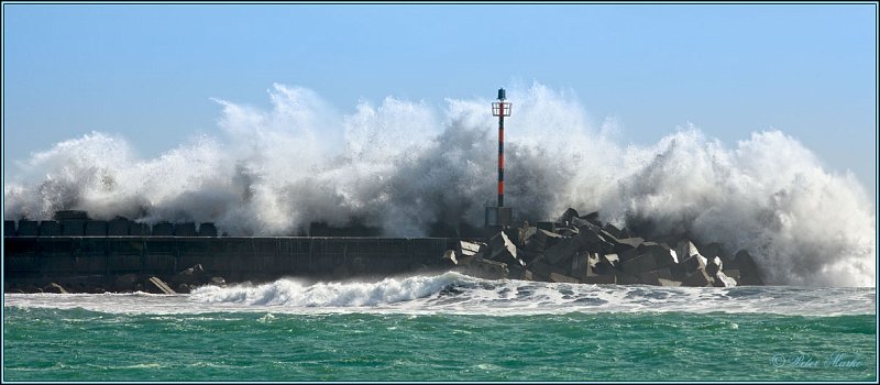 WV8X8208.jpg - Swell, Port New Plymouth, Taranaki, New Zealand