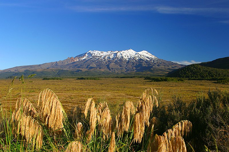 00032_RJ.jpg - Mt. Ruapehu, Tongariro National Park, New Zealand