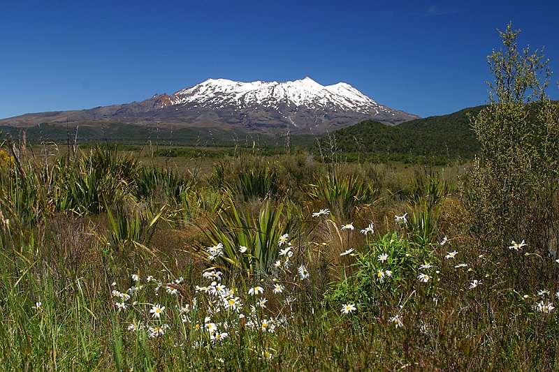 IMG_6422.jpg - Mt. Ruapehu, Tongariro National Park, New Zealand