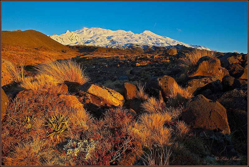 WV8X3092.jpg - Mt. Ruapehu, Tongariro National Park, New Zealand