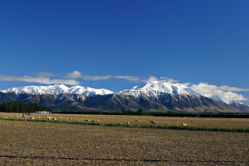 205_0556.jpg - Arthurs Pass, South Island, New Zealand