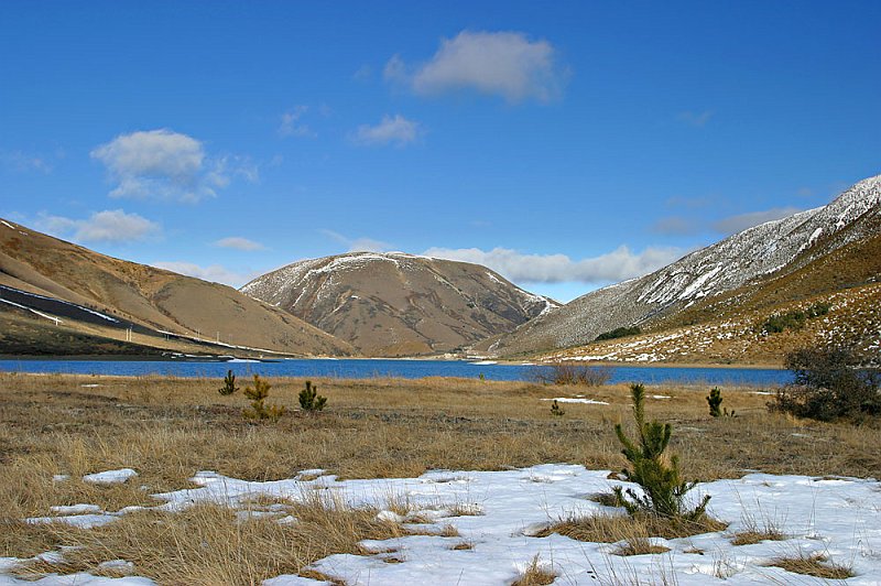 205_0569.jpg - Arthurs Pass, South Island, New Zealand