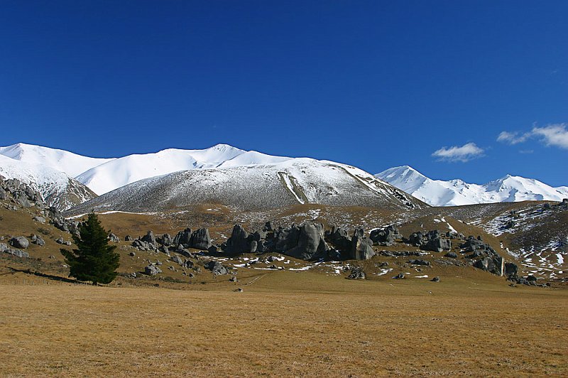 205_0572.jpg - Arthurs Pass, South Island, New Zealand