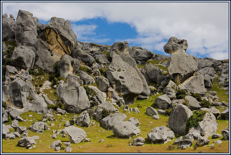 WV8X4881.jpg - Castle Hill, near Arthurs Pass National Park, South Island, New Zealand