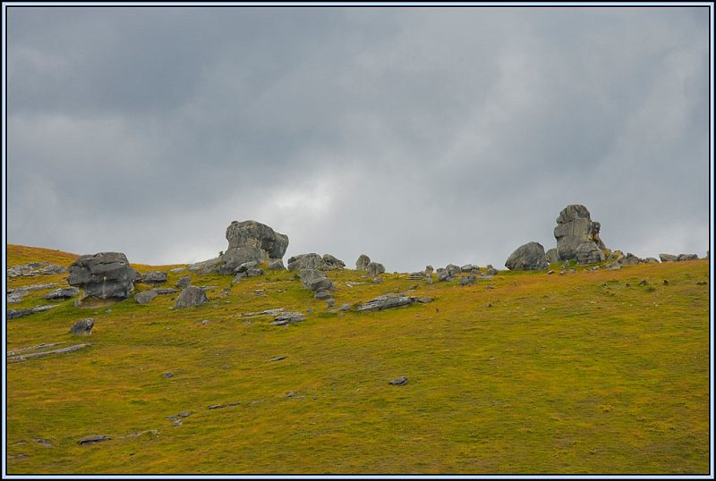 WV8X4885.jpg - Castle Hill, near Arthurs Pass National Park, South Island, New Zealand