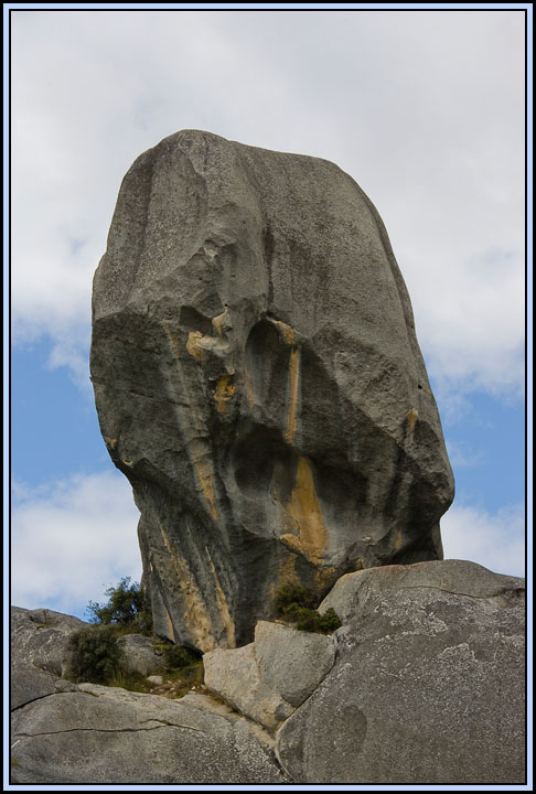 WV8X4886.jpg - Castle Hill, near Arthurs Pass National Park, South Island, New Zealand