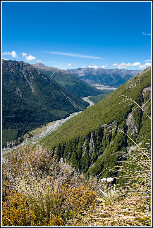 WV8X4954.jpg - Bealey River - view from Avalanche Peak, Arthurs Pass National Park, New Zealand