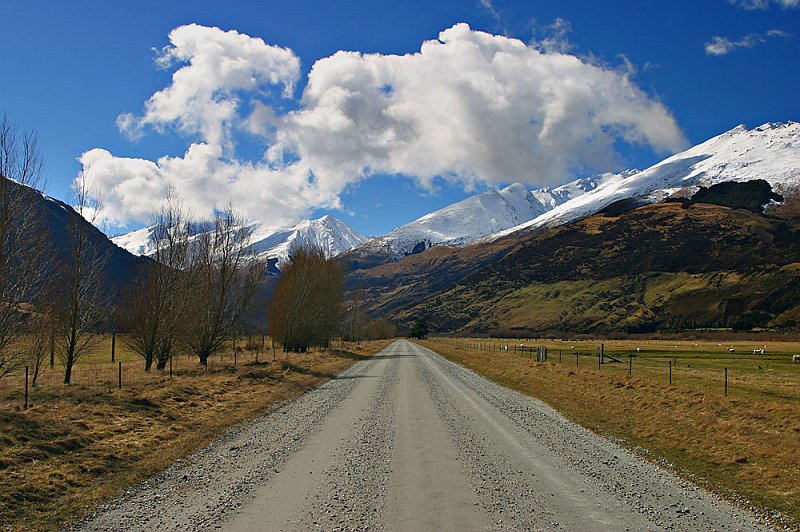 208_0837.jpg - Glenorchy, South Island, New Zealand
